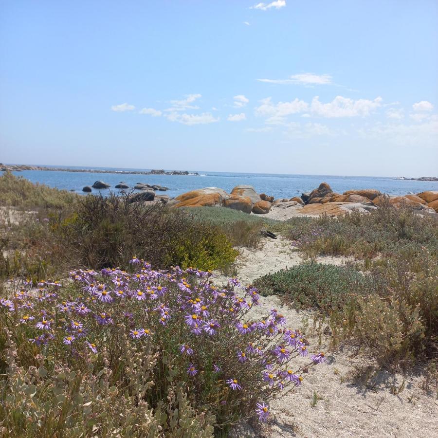 Cvista Daire Jacobs Bay Dış mekan fotoğraf