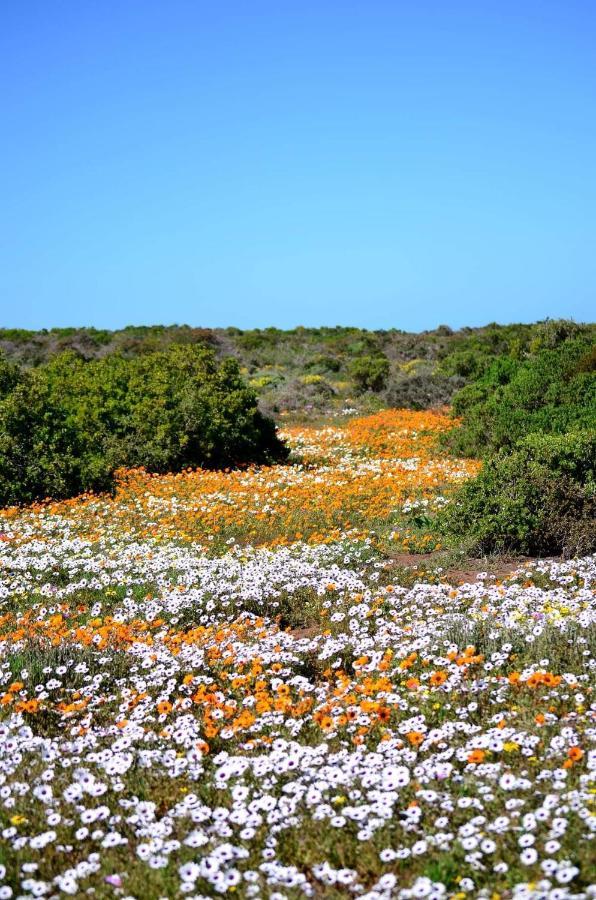 Cvista Daire Jacobs Bay Dış mekan fotoğraf